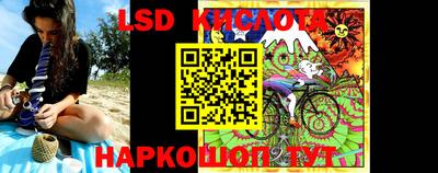 шишки Тара