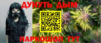 шишки Тара