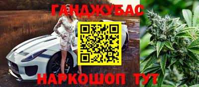 шишки Тара