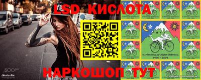 крисы Ставрополь