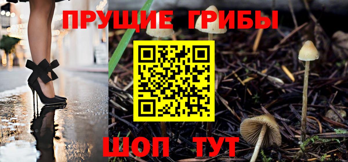 Псилоцибиновые грибы Psilocybine cubensis  Вход с VPN  Ногинск 